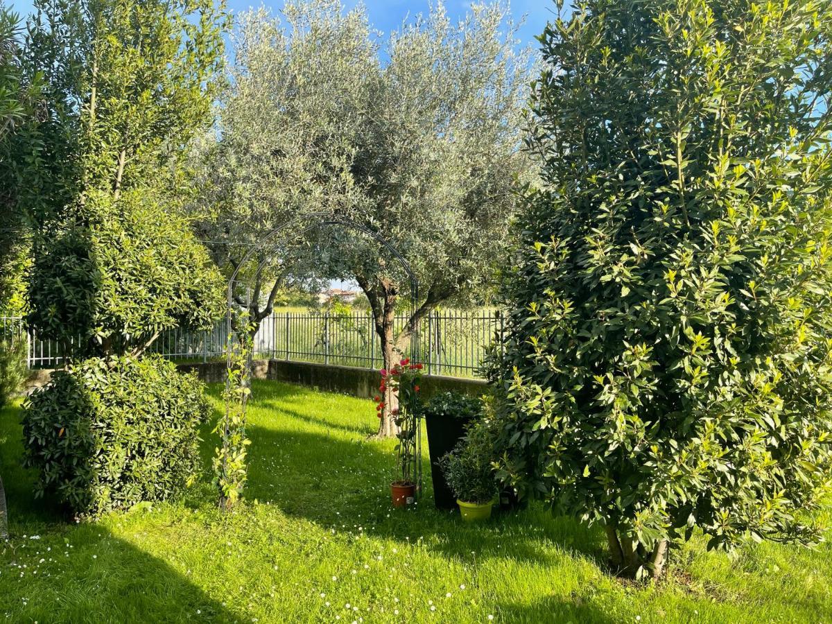 Dimora Di Charme Con Piscina E Giardino,Vicina Alla Spiaggia Sirmione Exterior photo